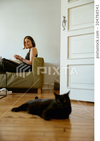 Female student listening webinar in headphones and looking on cat at home. Distance learning concept Female student listening webinar in headphones and looking on cat at home. Distance learning concept 104768541