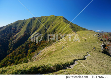 清澈的藍天映襯下秋葉和青竹鋪展開的次郎島山脊道路 清澈的藍天映襯下秋葉和青竹鋪展開的次郎島山脊道路 104768729