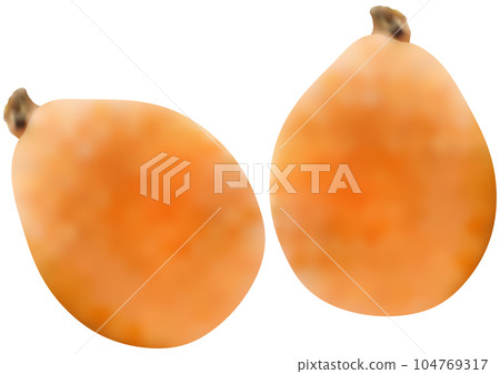 枇杷籽 兩顆 104769317