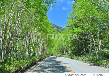 Katashina Village, Gunma Prefecture, early summer near Suganuma, fresh green mountains, Route 120 Katashina Village, Gunma Prefecture, early summer near Suganuma, fresh green mountains, Route 120 104769630