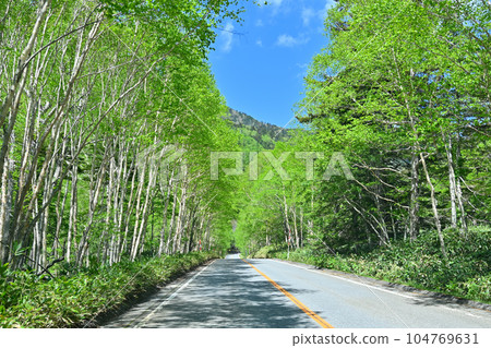 Katashina Village, Gunma Prefecture, early summer near Suganuma, fresh green mountains, Route 120 Katashina Village, Gunma Prefecture, early summer near Suganuma, fresh green mountains, Route 120 104769631