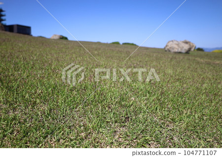 Vast lawn and rocks in spring Vast lawn and rocks in spring 104771107