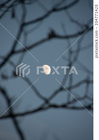 Moon and sky Moon and sky 104771428