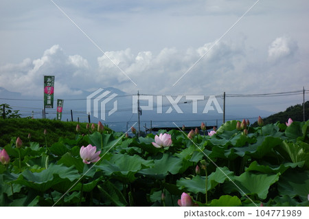 Tenten Castle Ruin Akorori Lotusen 104771989