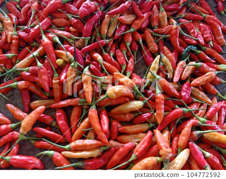 A bunch of chili peppers texture food background  104772592