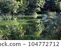 Yakebe Pond and pampas grass 104772712