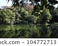 Home Department Pond 104772713