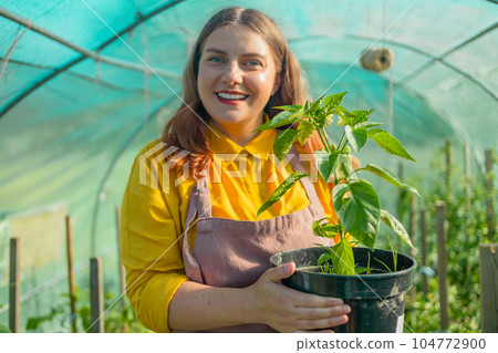Happy female gardener offer plants and flowers to the clients in the greenhouse 104772900