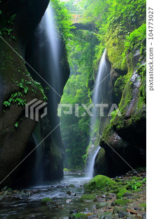 Yufu River Valley of fresh greenery (Yufu City, vertical composition) 104773027