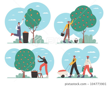 Cartoon people on harvesting. Happy farmers characters. Agricultural workers collect fruits and vegetables. Ranch works with baskets and buckets collecting crop. Vector gardeners set 104773901