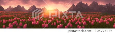 A field of tulips against the backdrop of mountains. Spring banner vector illustration. huge field of colorful tulips. Behind the field is a mountain range. Sunset. clouds of orange 104774276