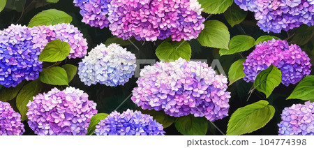 Mountain spring landscape, mountains with snowy peaks, lilac flower bushes, cartoon flat spring nature, green pasture meadow with forests, beautiful spring day mountains, vector illustration banner Mountain spring landscape, mountains with snowy peaks, lilac flower bushes, cartoon flat spring nature, green pasture meadow with forests, beautiful spring day mountains, vector illustration banner 104774398