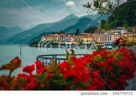 Stunning flowery waterfront of lake Como near Bellagio, Lombardy, Italy Stunning flowery waterfront of lake Como near Bellagio, Lombardy, Italy 104774771
