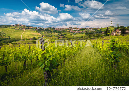 Spectacular vineyards on the hill in Tuscany, Italy 104774772