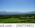 Mount Fuji, Kofu city and vineyards 104774852