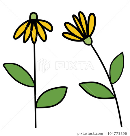 Drawing of flower isolated on transparent background for usage as an illustration, nature decoration and springtime concept 104775896