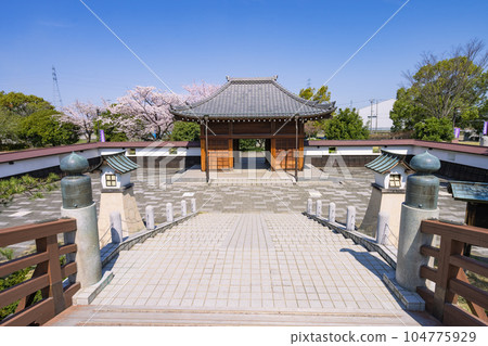 櫻花季的大口鎮 堀尾阿東公園 天戶與生魚片橋 104775929