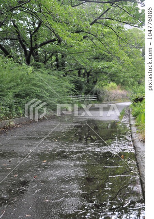 多雨的長廊 多雨的長廊 104776086