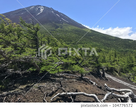 禦中堂富士山 104776572