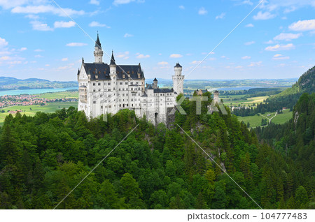 Neuschwanstein Castle / Germany 104777483