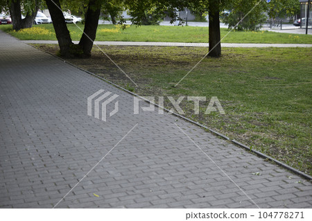 Trees and a path in a summer city park. Beautiful greenery and a summer park. 104778271