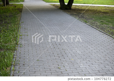 Trees and a path in a summer city park. Beautiful greenery and a summer park. 104778272