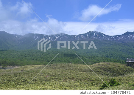 世界遺產知床半島五湖、雲霧繚繞的知床山脈、棕熊棲息地和長廊、蝦夷鹿 世界遺產知床半島五湖、雲霧繚繞的知床山脈、棕熊棲息地和長廊、蝦夷鹿 104778471