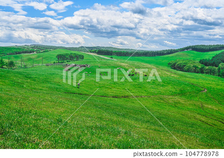 900 grassland in Teshikaga town 104778978