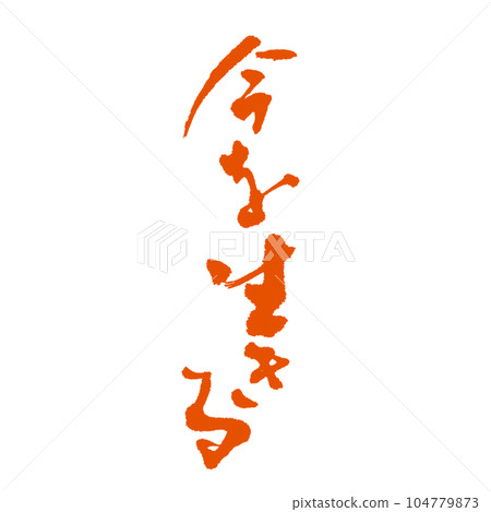 以時尚酷炫的方式書寫的手寫字符現在生活紅色墨水 104779873