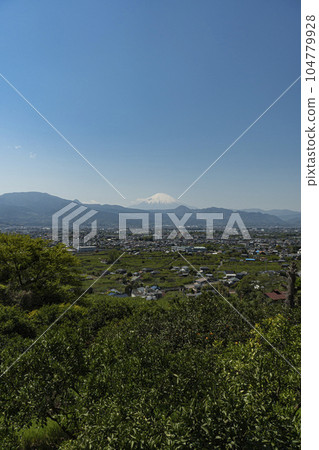 Fuji in spring seen from Odawara city 104779928