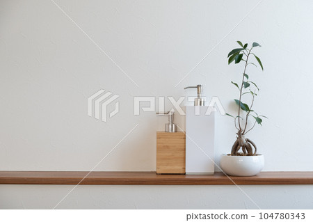 Detergent case and foliage plant 104780343