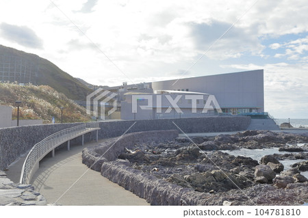 Beautiful Sea Wonderland (Oga Aquarium GAO, Oga City, Akita Prefecture) Beautiful Sea Wonderland (Oga Aquarium GAO, Oga City, Akita Prefecture) 104781810