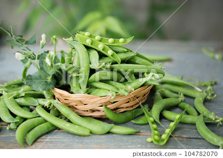 fresh peas on a wooden table fresh peas on a wooden table 104782070