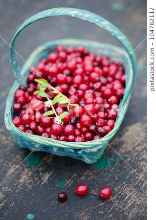wild berry cranberries in a blue wicker basket on a rustic background wild berry cranberries in a blue wicker basket on a rustic background 104782112