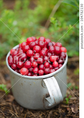 cranberry in vintage metal cup on dark background cranberry in vintage metal cup on dark background 104782130
