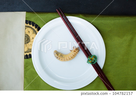 fat larva of the Maybug on white plate fat larva of the Maybug on white plate 104782157
