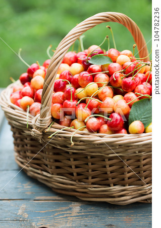 A full basket of cherries 104782236