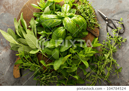 Cooking with fresh herbs Cooking with fresh herbs 104784524