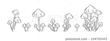 Shiitake mushrooms set. Edible mushrooms for food designs. Vector illustration 104785441