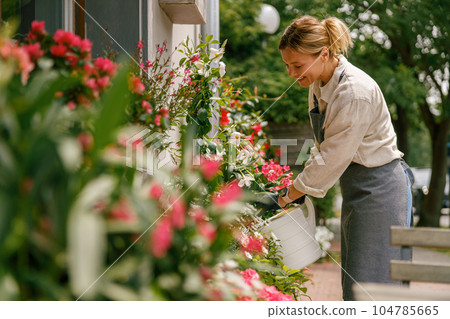 Female florist wearing apron taking care of houseplant in flower shop. Plant care concept Female florist wearing apron taking care of houseplant in flower shop. Plant care concept 104785665