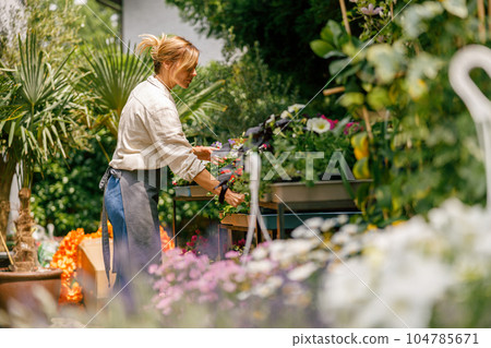 Woman professional gardener in apron take care of houseplants in floral store yard 104785671