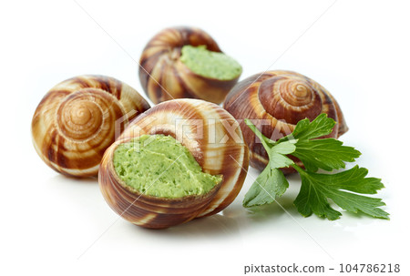 escargot snail filled with garlic and parsley butter escargot snail filled with garlic and parsley butter 104786218