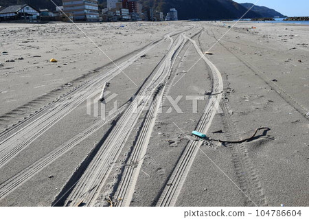 Sandy beach 104786604