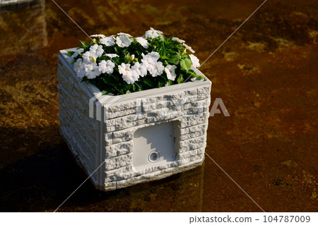 Flowers blooming in floating planters Flowers blooming in floating planters 104787009