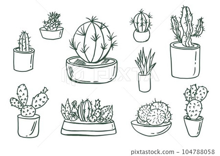 Cactus vector illustrations. Hand drawn outline cactus set. Cactus doodle plants nature elements in pots. For design, notebook, print, packaging Cactus vector illustrations. Hand drawn outline cactus set. Cactus doodle plants nature elements in pots. For design, notebook, print, packaging 104788058