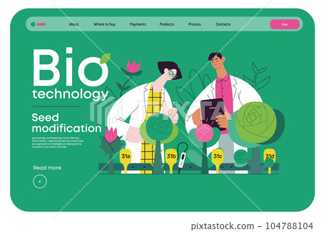 Bio Technology, Seed Modification -modern flat vector concept illustration of scientists analysing genetic modificated variants of a plant. Metaphor of direct impact of GMO on vegetation Bio Technology, Seed Modification -modern flat vector concept illustration of scientists analysing genetic modificated variants of a plant. Metaphor of direct impact of GMO on vegetation 104788104