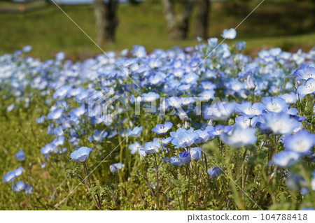 Hana Herb Garden Menard Aoyama Resort 104788418