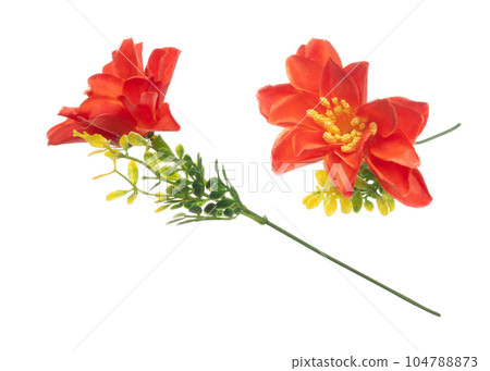Red hibiscus Flower is gradient. Red hibiscus make for love floral to decorate table house. Artificial fake Red hibiscus flower fly in air. White background isolated 104788873