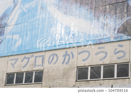 View of Katsuura fishing port, Wakayama prefecture 104789516