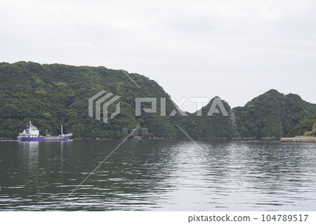 View of Katsuura fishing port, Wakayama prefecture 104789517